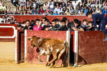 Recortes, quiebros y algún revolcón