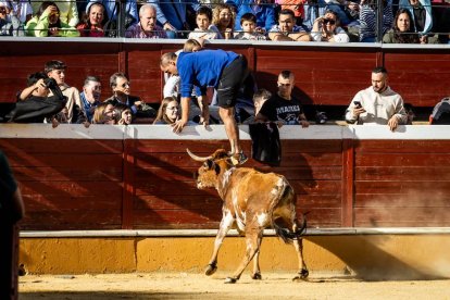 Recortes, quiebros y algún revolcón