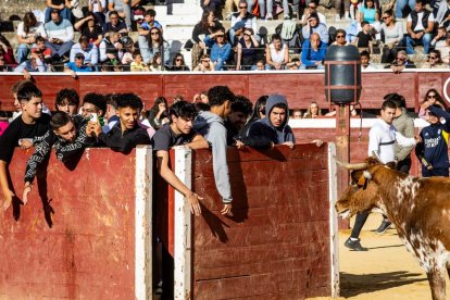 Recortes, quiebros y algún revolcón