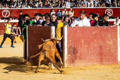 Recortes, quiebros y algún revolcón