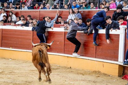 Recortes, quiebros y algún revolcón