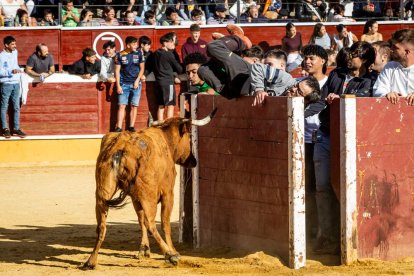 Recortes, quiebros y algún revolcón