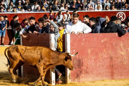 Recortes, quiebros y algún revolcón