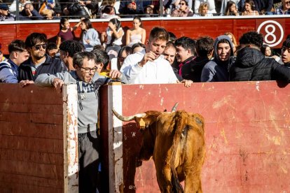 Recortes, quiebros y algún revolcón