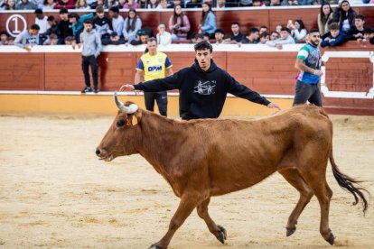 Recortes, quiebros y algún revolcón