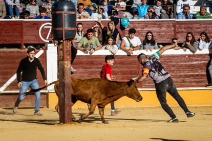 Recortes, quiebros y algún revolcón