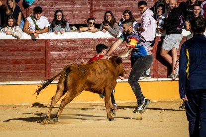 Recortes, quiebros y algún revolcón