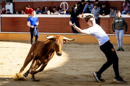 Recortes, quiebros y algún revolcón