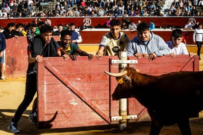 Recortes, quiebros y algún revolcón