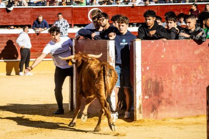 Recortes, quiebros y algún revolcón