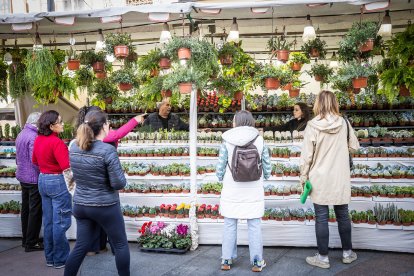 Talleres, demostraciones, teatro de calle y espectáculos animan la ciudad.