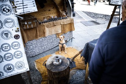 Talleres, demostraciones, teatro de calle y espectáculos animan la ciudad.