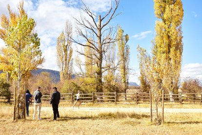 César Giaquinta y Marina Girona ganan la XIV Carrera Verde de la Guardia Civil.