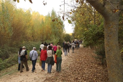 Berlanga sube el telón para indagar sobre la IA