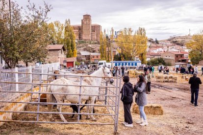 Una tradicional jornada para conocer la actividad ganadera de la zona