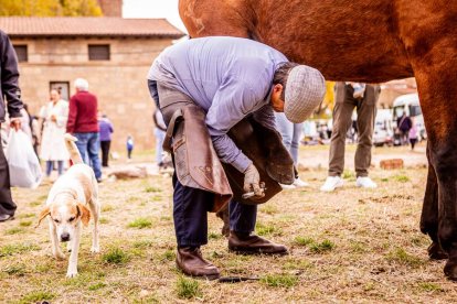Una tradicional jornada para conocer la actividad ganadera de la zona