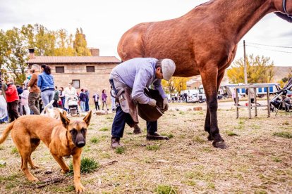 Una tradicional jornada para conocer la actividad ganadera de la zona