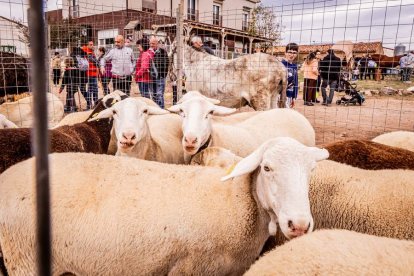Una tradicional jornada para conocer la actividad ganadera de la zona
