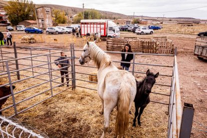 Una tradicional jornada para conocer la actividad ganadera de la zona