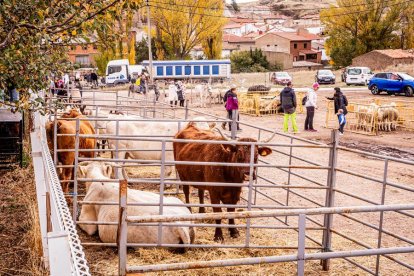 Una tradicional jornada para conocer la actividad ganadera de la zona
