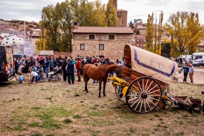Una tradicional jornada para conocer la actividad ganadera de la zona