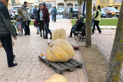 Un clásico en el otoño Sanestebeño