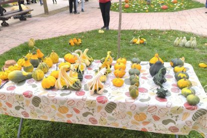 Un clásico en el otoño Sanestebeño