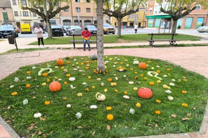 Un clásico en el otoño Sanestebeño