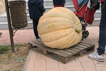 Un clásico en el otoño Sanestebeño