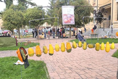 Un clásico en el otoño Sanestebeño