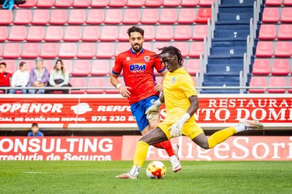 Contundente victoria de los rojillos para coger aire