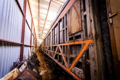 El antiguo ‘falcon’ lleva en Soria algo más de 40 años