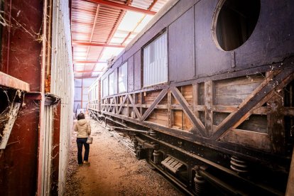 El antiguo ‘falcon’ lleva en Soria algo más de 40 años