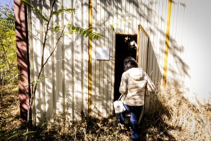 El antiguo ‘falcon’ lleva en Soria algo más de 40 años