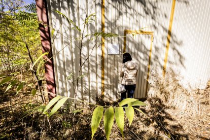 El antiguo ‘falcon’ lleva en Soria algo más de 40 años