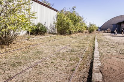 El antiguo ‘falcon’ lleva en Soria algo más de 40 años