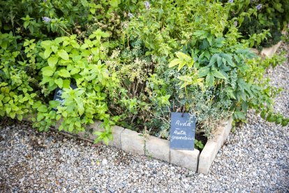 Las dependencias se encuentran musealizadas