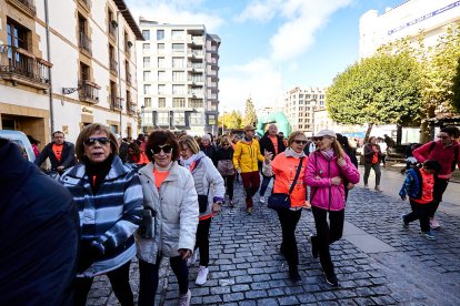 El Camino por Soria Contra el Cáncer vuelve a llenar las calles de la capital de miles de personas para recaudar fondos para la investigación.