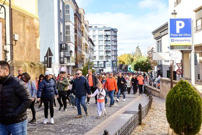 El Camino por Soria Contra el Cáncer vuelve a llenar las calles de la capital de miles de personas para recaudar fondos para la investigación.