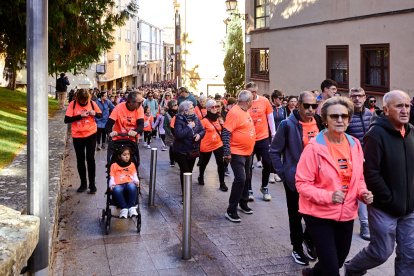 El Camino por Soria Contra el Cáncer vuelve a llenar las calles de la capital de miles de personas para recaudar fondos para la investigación.