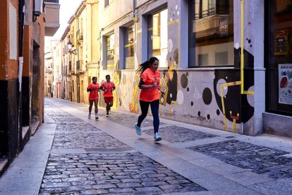El Camino por Soria Contra el Cáncer vuelve a llenar las calles de la capital de miles de personas para recaudar fondos para la investigación.