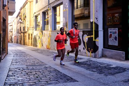 El Camino por Soria Contra el Cáncer vuelve a llenar las calles de la capital de miles de personas para recaudar fondos para la investigación.