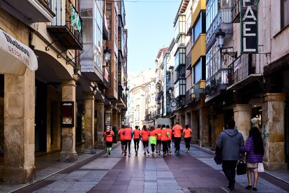 El Camino por Soria Contra el Cáncer vuelve a llenar las calles de la capital de miles de personas para recaudar fondos para la investigación.