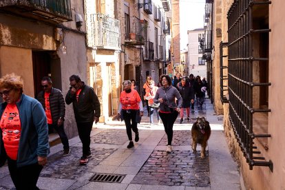 El Camino por Soria Contra el Cáncer vuelve a llenar las calles de la capital de miles de personas para recaudar fondos para la investigación.