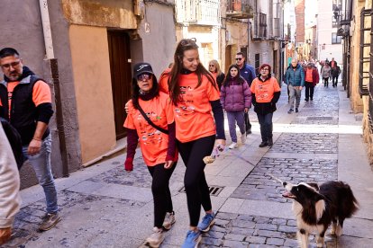 El Camino por Soria Contra el Cáncer vuelve a llenar las calles de la capital de miles de personas para recaudar fondos para la investigación.