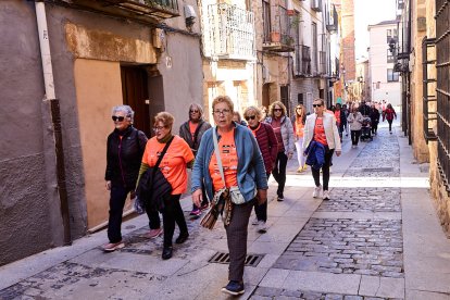 El Camino por Soria Contra el Cáncer vuelve a llenar las calles de la capital de miles de personas para recaudar fondos para la investigación.