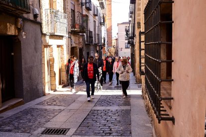 El Camino por Soria Contra el Cáncer vuelve a llenar las calles de la capital de miles de personas para recaudar fondos para la investigación.