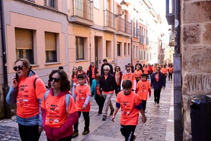 El Camino por Soria Contra el Cáncer vuelve a llenar las calles de la capital de miles de personas para recaudar fondos para la investigación.