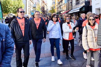 El Camino por Soria Contra el Cáncer vuelve a llenar las calles de la capital de miles de personas para recaudar fondos para la investigación.