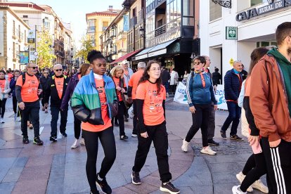 El Camino por Soria Contra el Cáncer vuelve a llenar las calles de la capital de miles de personas para recaudar fondos para la investigación.
